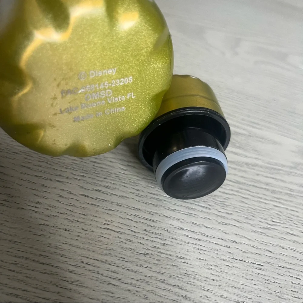 Disney Member Vacation Club 2022 14oz Stainless Steel‎  Water Bottle